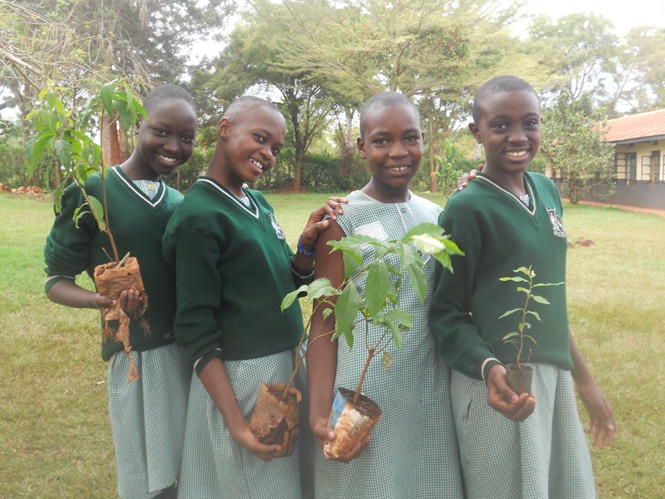 SchoolsTrees1's tweet photo. Join the fight against Climate Change#OnechildOnetree #Schoolstreeproject. https://t.co/cL1fq6oV0R