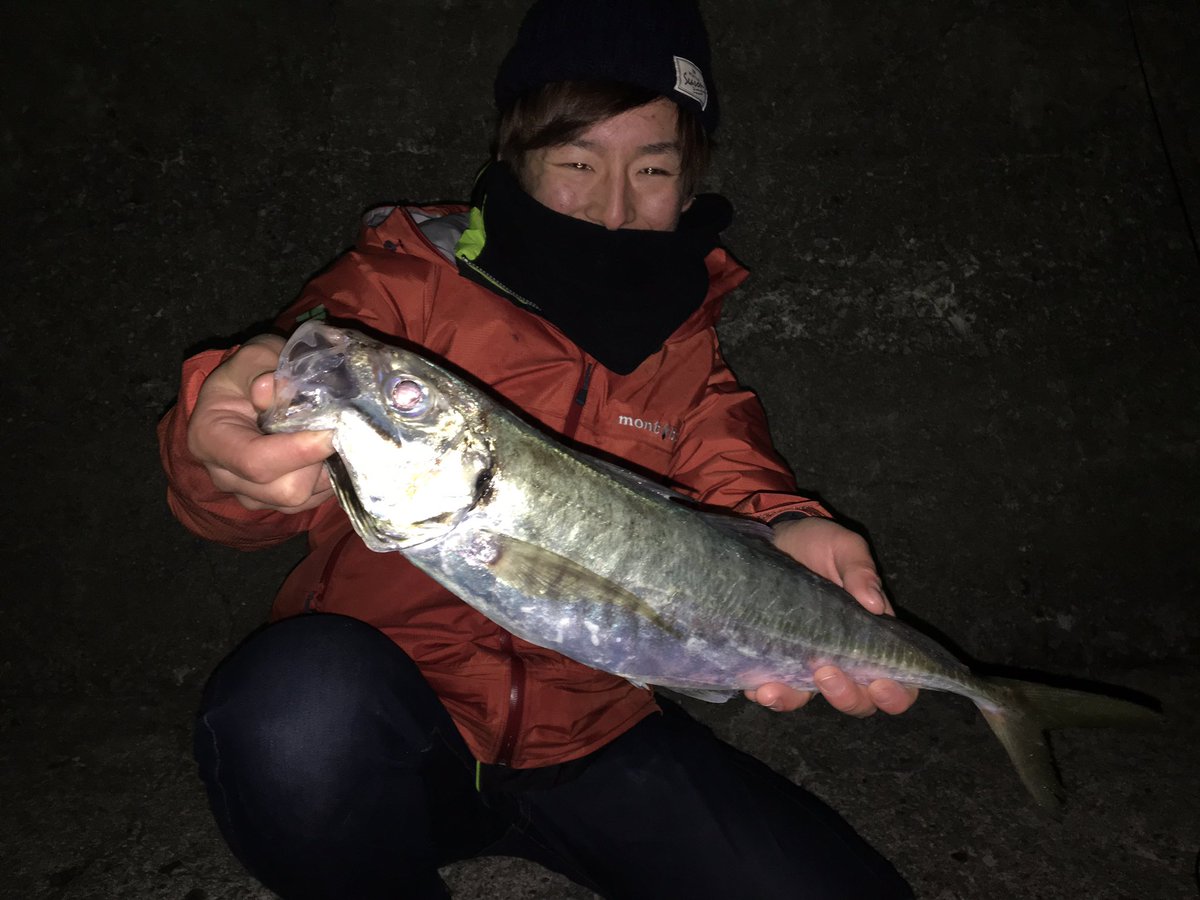 fishingkiuchi's tweet photo. やっと出逢えた！
テラアジ51cm！！
追い続けてようやく叶った！^ ^
20cmのアジと比べるとばけもんΣ(ﾟДﾟ；)
最高(*^^*) https://t.co/ki3SUdjyNY
