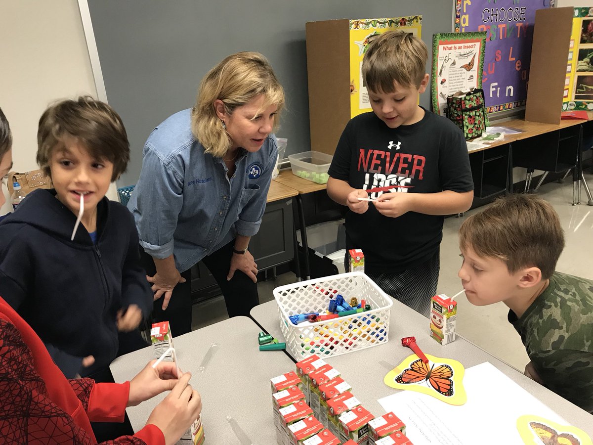 pkinderallen3's tweet image. JMG learning about insects.  Acting out #chewing #sponging#piercing#siphoning. @bearbranchelem