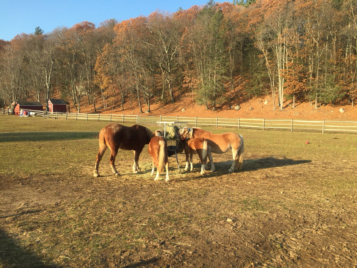 PDFCamp's tweet image. Da Girls!