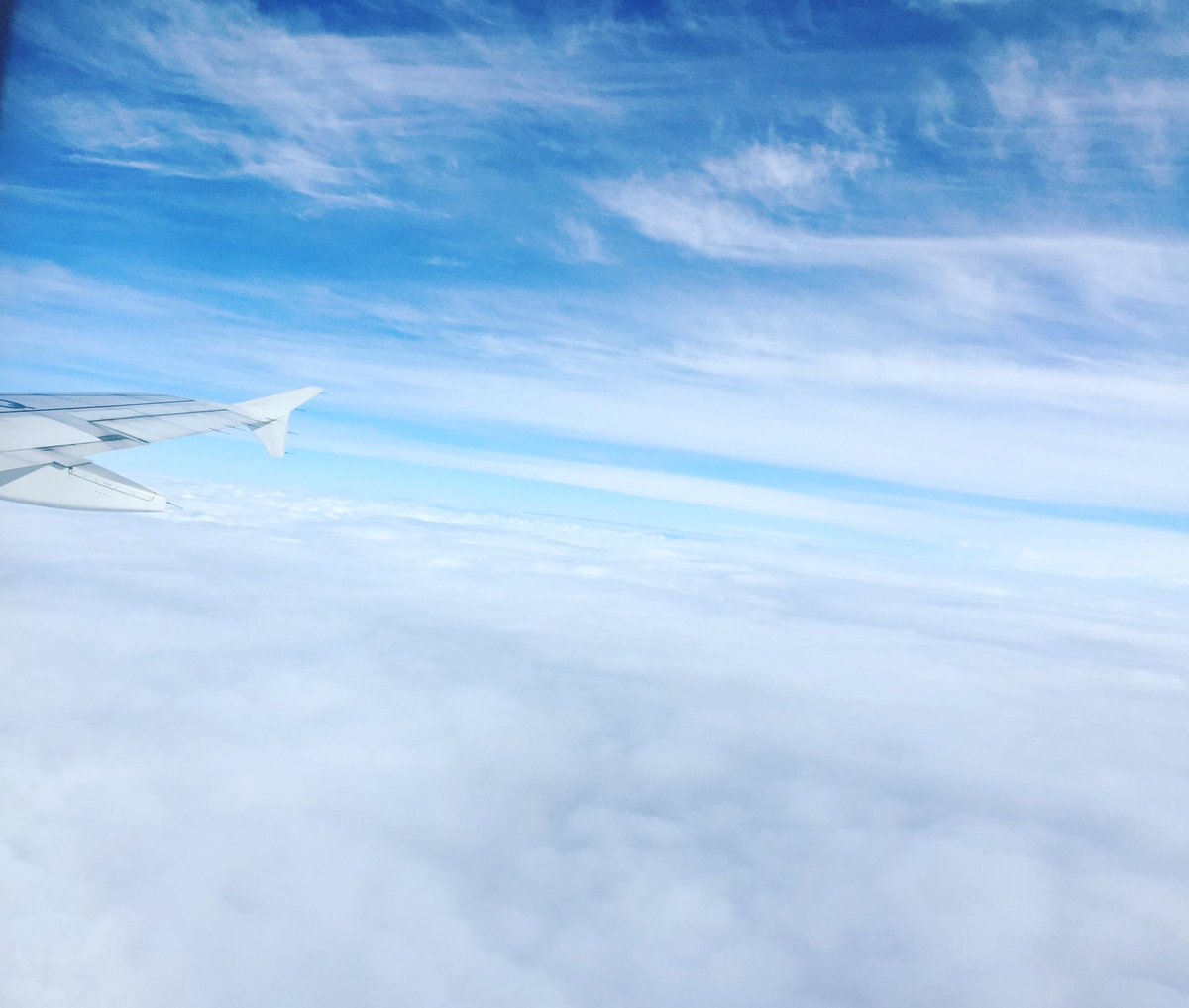 Bye bye #yopal see you soon! #mashayopal we hope you liked it!! #DJs #producers #Positive #happypeople #Colombia