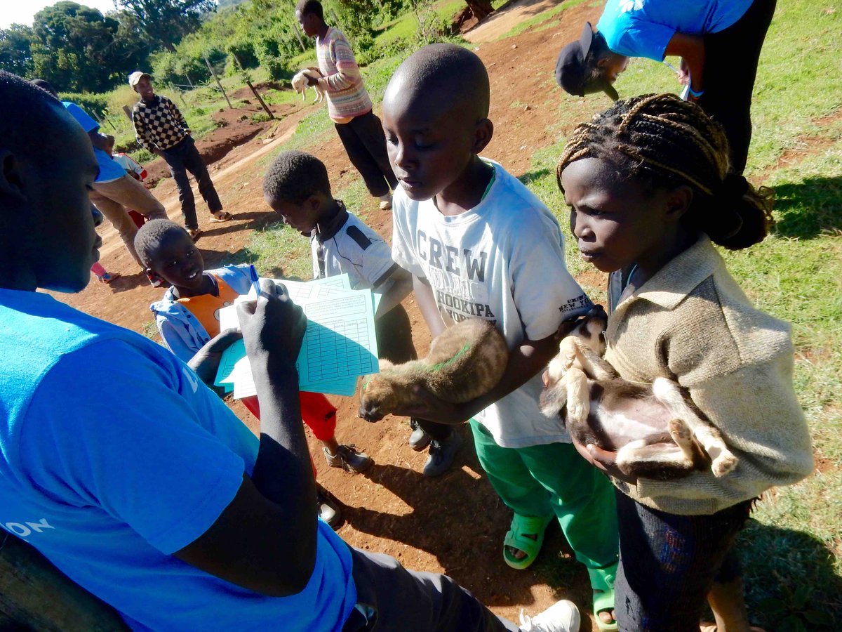 sayialel_says's tweet photo. The Laikipia Rabies Vaccination Campaign immunized 1,664 dogs &amp; cats last weekend, protecting those animals from contracting and transmitting rabies to humans &amp; wildlife. The 2017 total is now 7,103 animals, more than 2K more than last year! And stay tuned- 1 weekend to go! #LRVC https://t.co/Dm8KNrp6DP