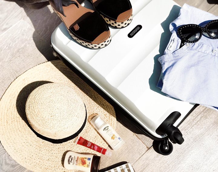 Rolling Luggage tweet media