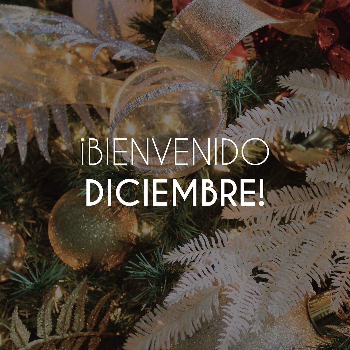 DonEventos's tweet photo. Hoy recibimos el mes de diciembre con toda la felicidad del mundo.¡Estamos ansiosos por los proyectos de este mes y no podemos esperar a compartirlos con ustedes!

#DonEventos #UniqueExperience #CorporateEvents https://t.co/TitX7zF0C1