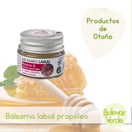 Bulevar_Verde's tweet photo. El bálsamo labial Aprolis de propóleo es un protector contra el frio y además ayuda a regenerar pequeñas lesiones labiales. Ahora por tan sólo 5,95 € ►► https://t.co/S2GtbvSmtN https://t.co/cR6TOuUZYu