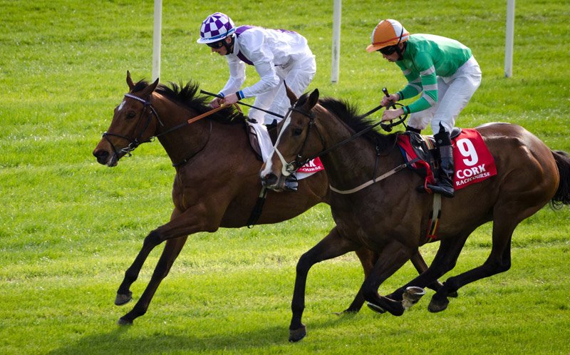 🎁Annual membership 2018🎁
Looking for the perfect Christmas gift? 
Surprise your better half with annual membership to #CorkRacecourse. #CorkLike #CorkChristmas
Buy now here: bit.ly/2hZt8e0