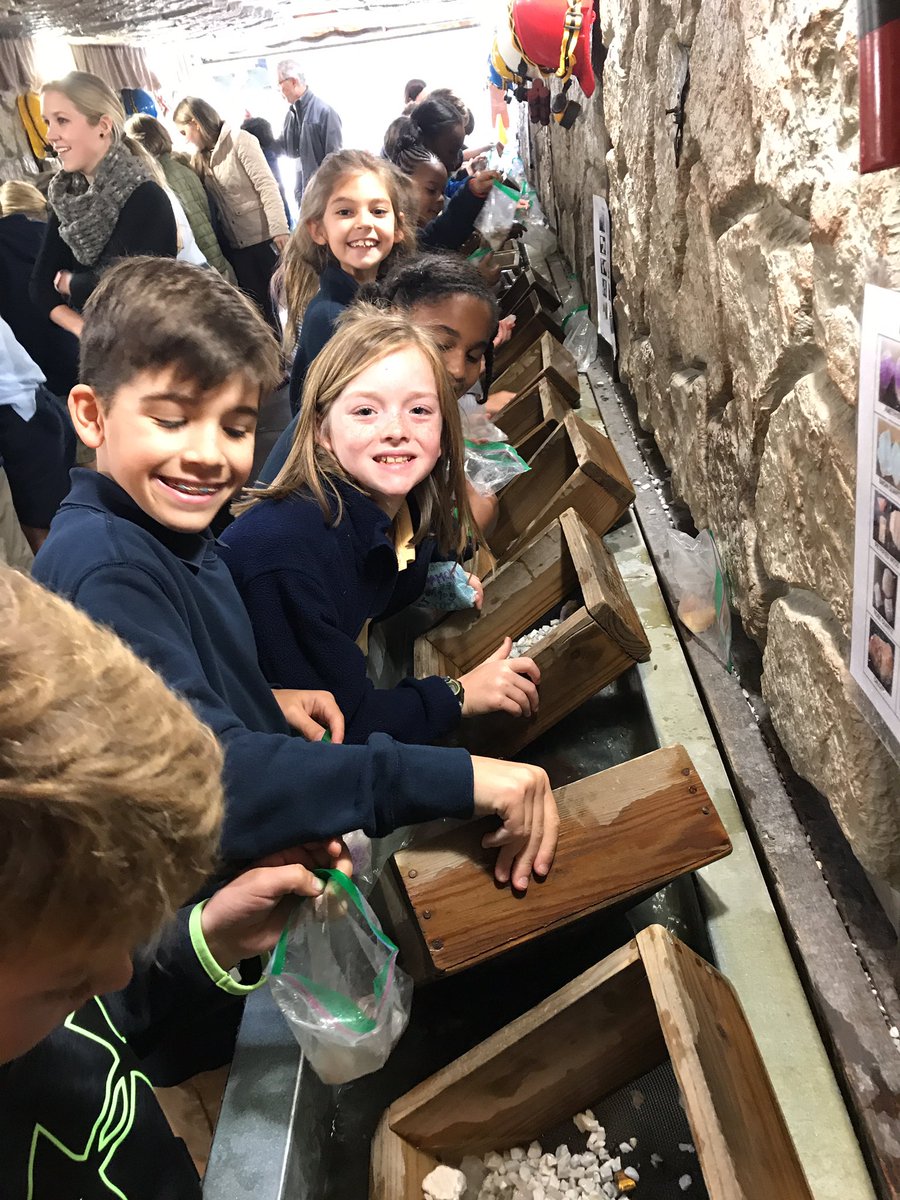 AmeliaHenritze's tweet image. Mining for gems with Diamond Del! #trinitylearns