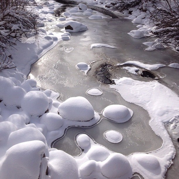 Wandering around Vail's trails? You'll find pretty snowy sights at Gore Creek.