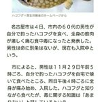 環境の変化は人が考えるより早い？ハコフグは今は毒があるので食べてはいけないらしい!