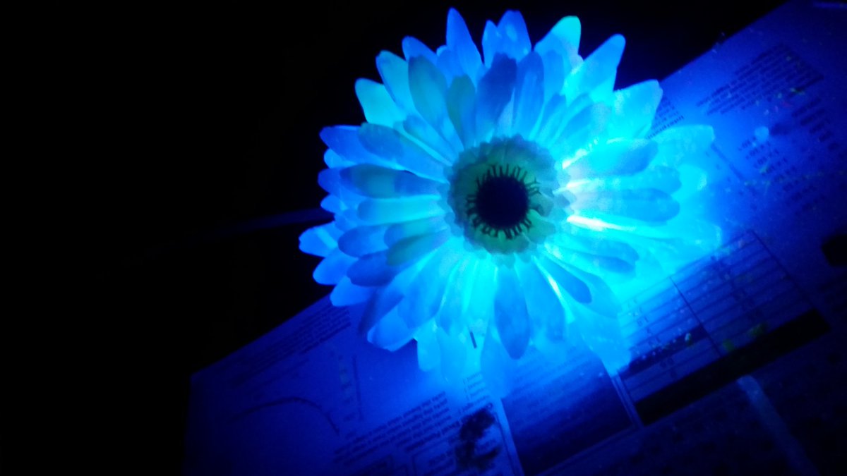AA_Technicians's tweet photo. Cross curricular - Photography and Science @acc_academy @DaniellePDevine https://t.co/u9o7DqvjCq