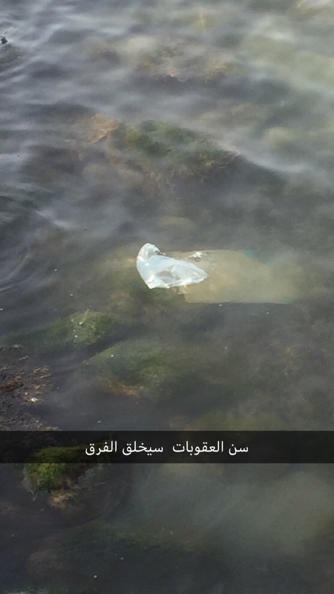 #الواجهة_البحرية #دفعهم_لتأدبهم