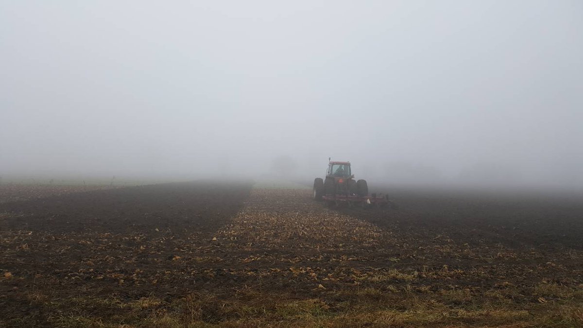 pfenningsfarm's tweet photo. The fog has lifted now, but it was a very pretty morning for field work.
#Pfennings4me #wilmotawesome #foggymorning #fromthefield #decemberbeauty #farmlife https://t.co/ThuCqOPXa0