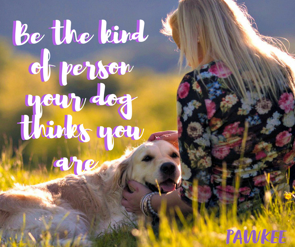 PawkeePets's tweet photo. "Be the kind of person your dog thinks you are" #MondayMotivation  #PetLovers #DogLovers #PetsToronto #PawkeePetSitting https://t.co/GUyDfLX0in