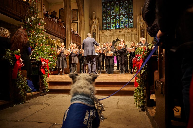 We're ready for an evening of festive cheer at our #CarolConcert tonight. 🎄🎶
 
And our doggie guard of honour will be all set to welcome guests! 🐶