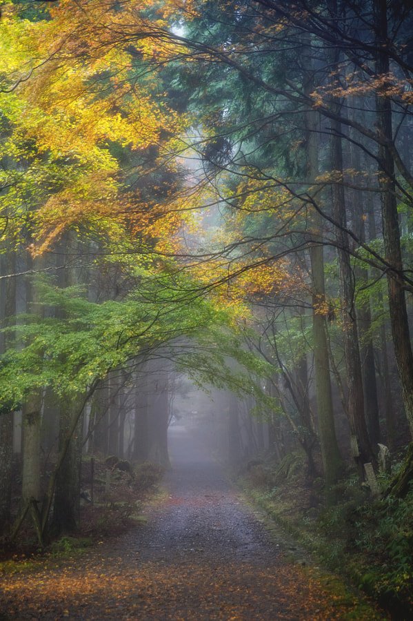 <a href="/CandeGdl/">#Jay</a> <a href="/isamuuran1316/">浩子</a> @CristinPereyra <a href="/Silviadomi22G/">♕Lady in Red ❤</a> <a href="/Sylpete/">💗Sylpete 🌹</a> <a href="/GvbvgGggg/">Warm555</a> <a href="/estrogenplus/">Breast Cancer Sucks</a> <a href="/RoshanDua/">Roshan Dua @9953331066</a> <a href="/uwejanssen17/">It`s me</a> <a href="/MIBramajo/">Maria Ines Bramajo, Feliz 2023...❤️🇦🇷💙</a> <a href="/tesamarylagvaz1/">Luz María 🇲🇽</a> <a href="/IsabelPerez1232/">💦Isabel Perez 💦</a> <a href="/jareckikonecki/">@jareck</a> <a href="/jwbranda/">@José Wilson Brandão</a> <a href="/S_Fahim_IQ/">COWBOY🌺S.Fahim Naqvi</a> <a href="/1012Keitai/">kei_</a> @moiraek <a href="/Maxima/">Grand Maxima</a> <a href="/RosaTrunk/">Rosa</a> <a href="/Jilliemary/">Jillian Peeling</a> <a href="/MincaVlinder/">水瀬伊織</a> @joeldesouza2626 <a href="/AraceliSalaiz/">Amunet</a> <a href="/GOODFATHER_71/">🇬 🇴 🇴 🇩 🇫 🇦 🇹 🇭 🇪 🇷 71</a> <a href="/Las_Magas/">@Las_Magas</a> <a href="/RosanaFava/">🌸rosanafava 50K🌸</a> <a href="/ky_33/">🤍✝️Doni💙CowboyFan🏈4Life</a> <a href="/MirandaSa_/">Miranda Sá</a> <a href="/Tana_Pato/">🍃🌷ƬαƝα🌷🍃</a> @brendak32405 <a href="/maryrock180457/">🇧🇷Mari Marques🤘🎶🎸🎹</a> <a href="/spherical_art/">Ｓｐｈｅｒｉｃａｌ Ａｒｔ</a> <a href="/35iga/">igarashi Naruki ２</a> @Gravitweet <a href="/Alphaomega24/">Alpha Omega</a> <a href="/vernsanders/">Vern Sanders</a> <a href="/kompulsion/">#PROMIN #News #World</a> <a href="/JanetNestor/">Pathways 2 Wholeness</a> <a href="/sjfpc/">Steven J. Fromm</a> <a href="/theta_compass/">HAL2024</a> <a href="/SFiolitakis/">Sakis foto</a> <a href="/Lil_ajj1/">AJ</a> <a href="/967243jaber/">Jaber</a> <a href="/Chovitv/">el chovi tv</a> <a href="/heroldbarton/">herold barton</a> <a href="/LenaDalli/">Helene. 🔴 Lena #1FIRST</a> <a href="/terminatir1/">Her sey yalan.</a> <a href="/VickieChandler/">-</a> @PapaPorter1 Nature is Enchantment 🌿🍃🌲🌳🌱
#Magical #ForestsDay
#NaturePhotography #Nature