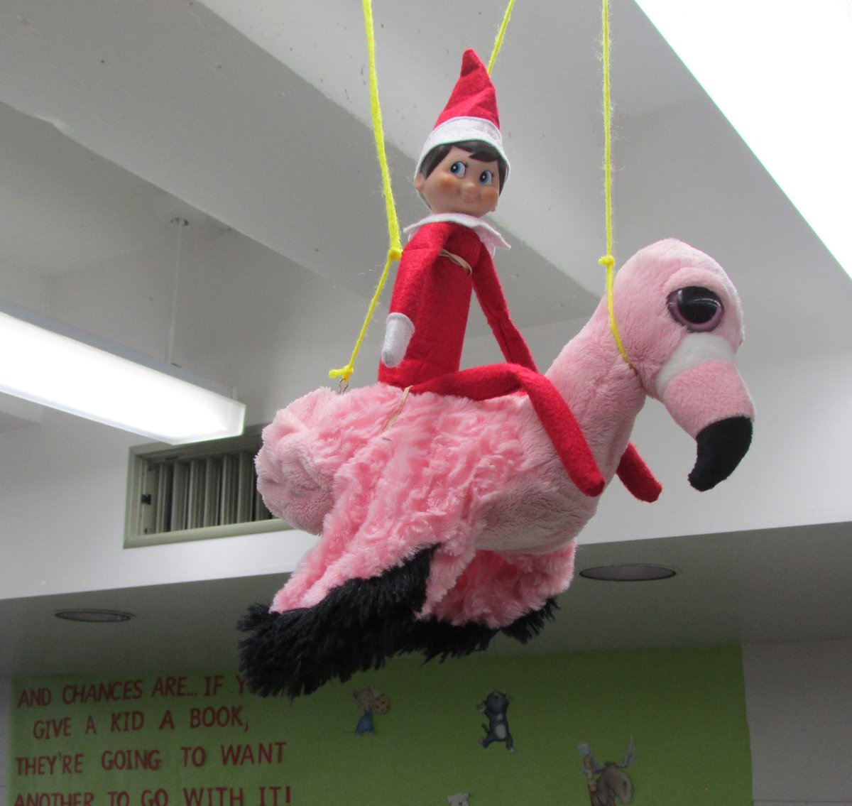 Day #4: Dewey has a bird's eye view of the library today!