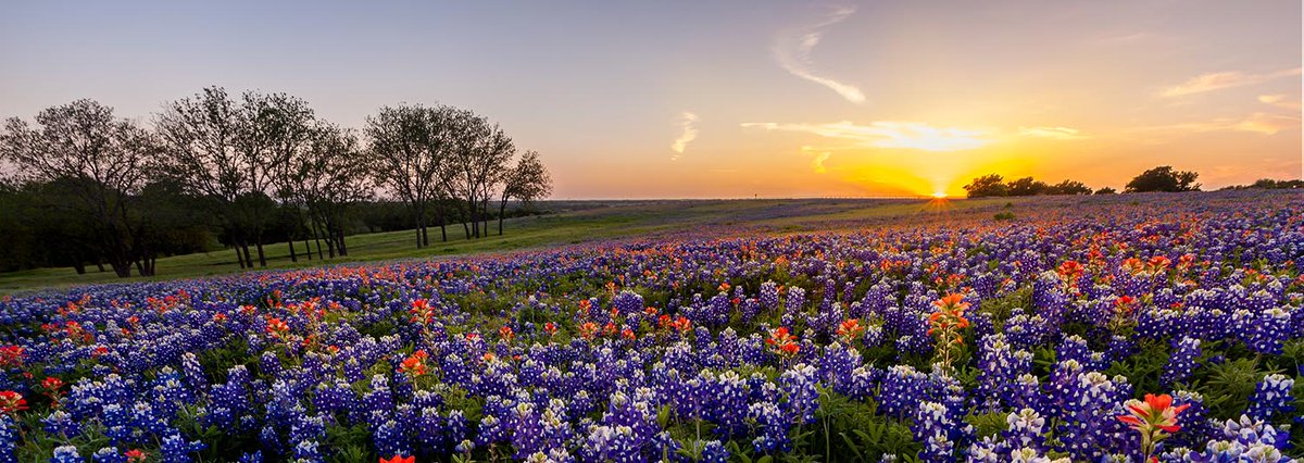 Steward Health Care has an excellent OB/GYN Hospitalist opportunity at Wadley Regional Medical Center in Texarkana, TX. The incoming physician can expect desirable hours, no call, and a very competitive salary. 
To apply:
stewardphysicians.org/content/obgyn-…

stewardphysicians.org/careers