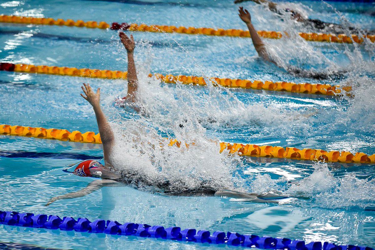 PaulMcRae5's tweet photo. @TorfaenDolphins @1ianrosser @SwimWales #SWWC17 backstroke final Sunday https://t.co/SfhJtU2W15