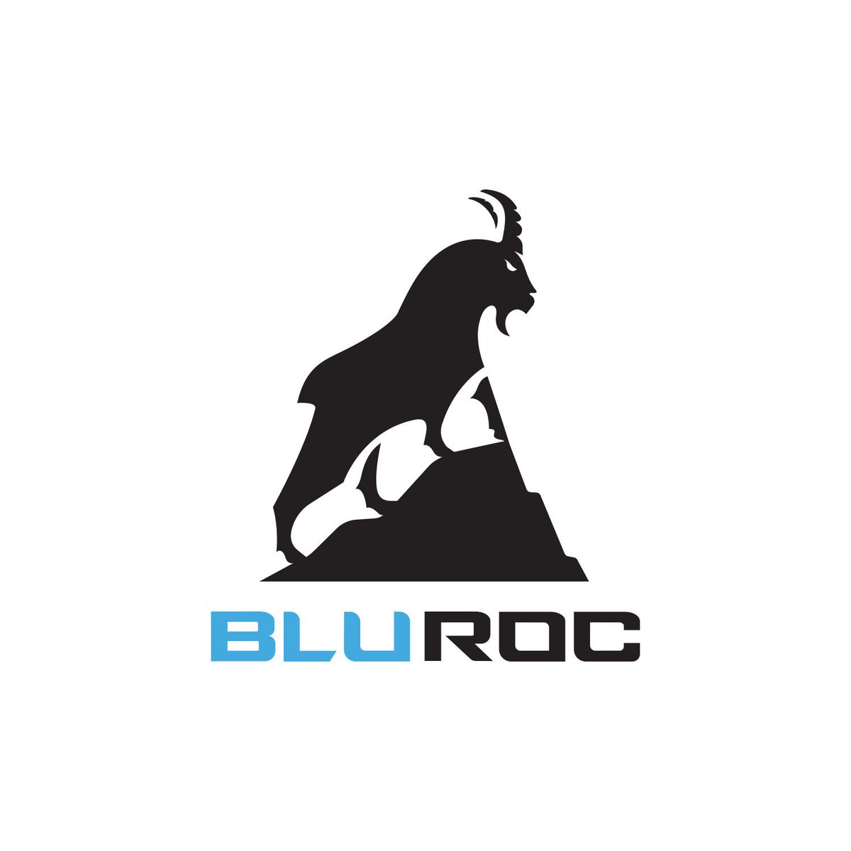BluRoc tweet media