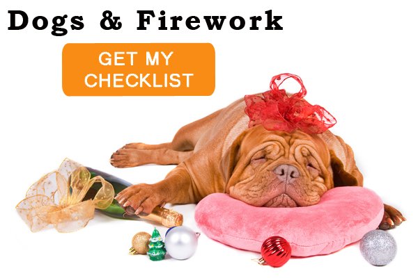 maxxipaws's tweet photo. Download our checklist to help you prepare your dog for New Years Eve firework displays. The sooner you start preparing your dog the better.
https://t.co/A02fdMHA7W
#dogsandfireworktips #dogs #dogsandfireworks #dogchecklist https://t.co/8y25kM5MGa