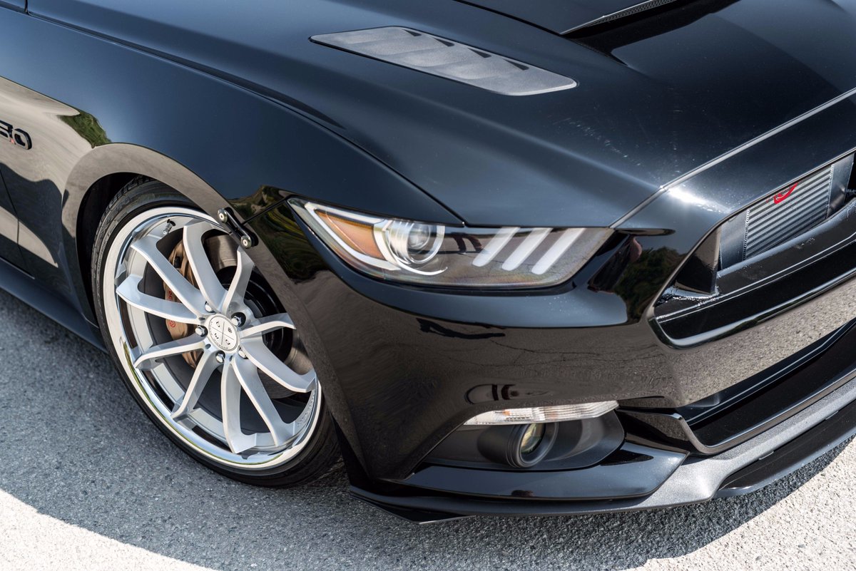 BD_Wheels's tweet photo. Check out our blog 👇 Ford Mustang GT Chip Foose Edition on Silver Blaque Diamond Wheels BD-23!

https://t.co/kKpT5STOCW …

#fordmustang @FordMustang #MondayMotivation #Wheels #bdwheels https://t.co/tAwhx8I2L7