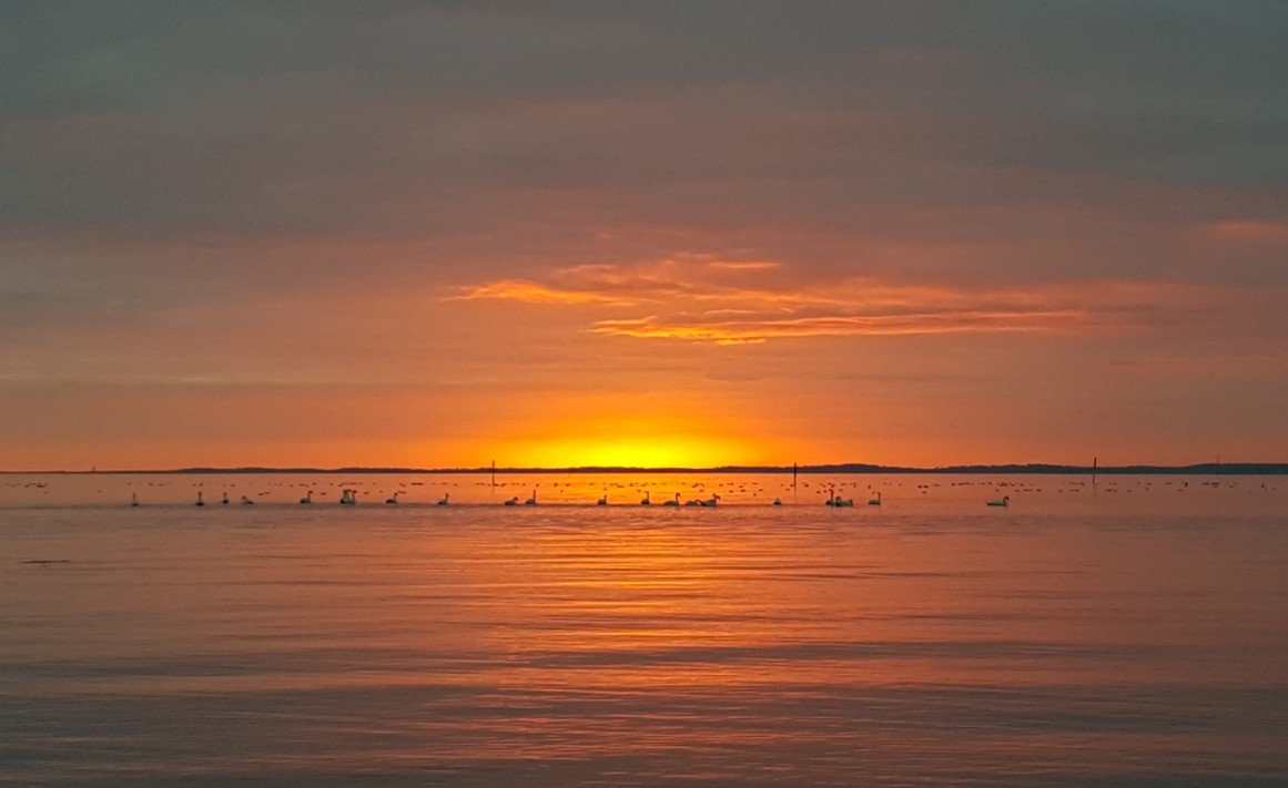 InfoBassin's tweet photo. #infobassin : Le #Bassin d'#Arcachon au naturel, toujours d'une incomparable beauté.
Juste un moment de pure harmonie, tranquille, paisible...
Sans vroum-vroum, ni crèmes glacées dégoulinantes.
L'hiver, c'est bien...
https://t.co/btHg2cZqVB https://t.co/178A0wctav
