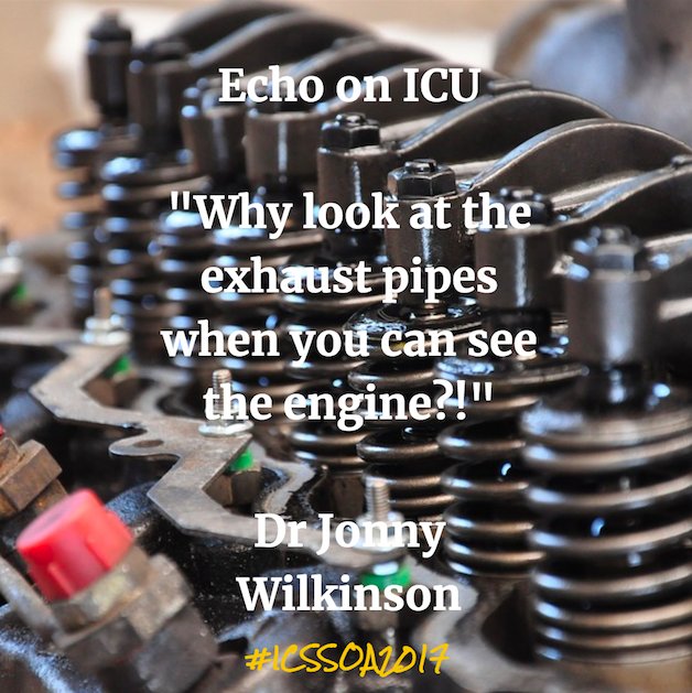 Wilkinsonjonny's tweet image. Why echo on ITU….why the hell not?! #ICSSOA2017 #LEARNPOCUS #FOAMed #FOAMcc #POCUS