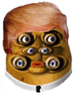 AppletonReginta's tweet image. We are so enchanted by #DonaldTrump, we have all adapted his hairstyle. Don't worry #President #Trump, we will be there to help you in your impeachment.