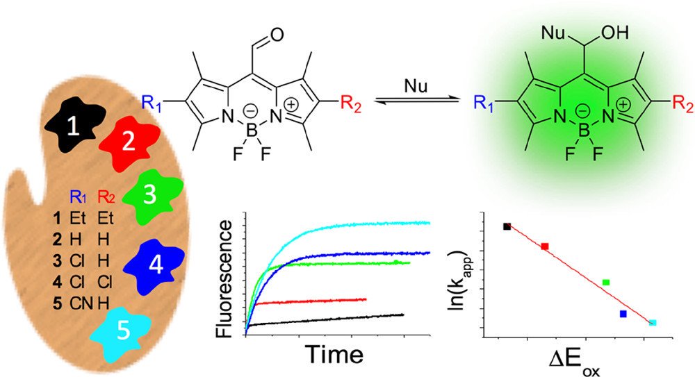 ACS_Omega's tweet image. Development of a #Fluorogenic Reactivity #Palette for the Study of #Nucleophilic Addition #Reactions Based on meso-Formyl BODIPY #Dyes 
pubs.acs.org/doi/full/10.10…