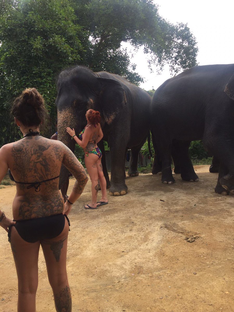 EmmaBlenko's tweet photo. #Thailand #phuket #phuketit https://t.co/LSdCyMCcAw