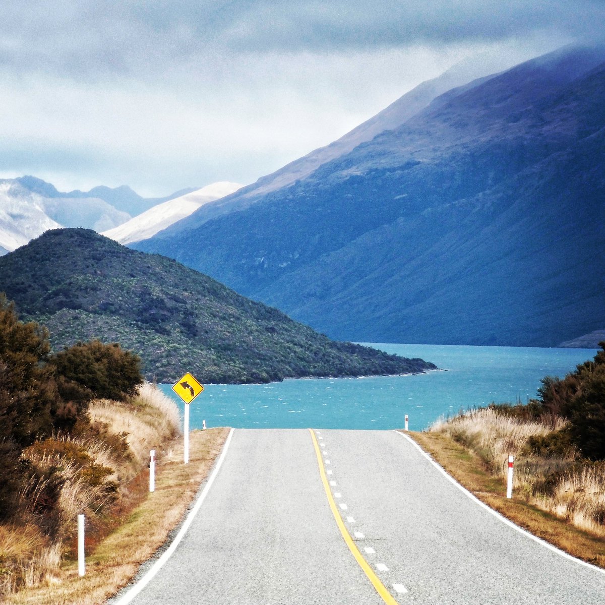 Nruseeland Hashtag On Twitter