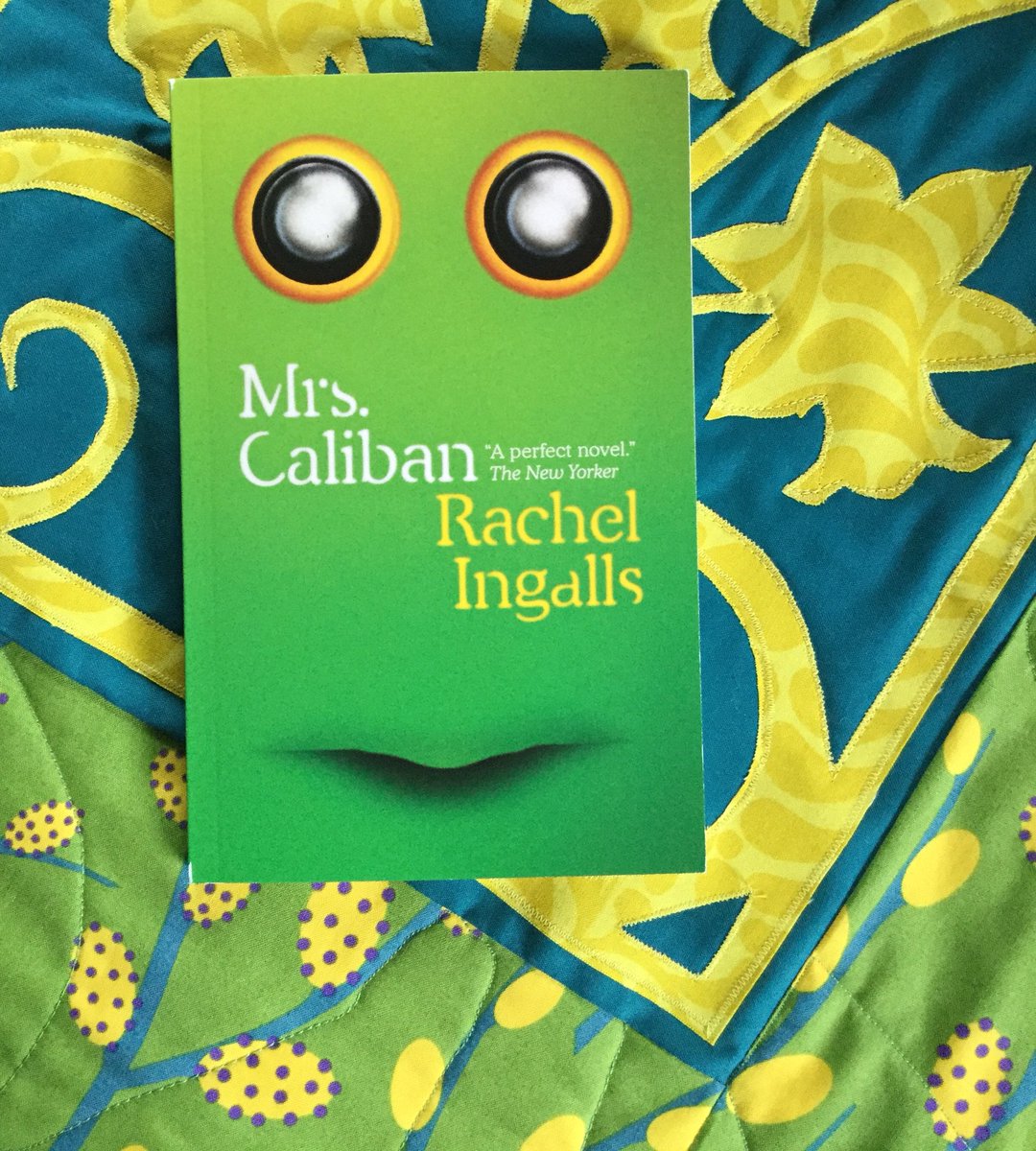 NancyAdairB's tweet photo. Surprise packages from @wwnorton are always welcome! #rachelIngels #mrscaliban https://t.co/LFloqvkSfM