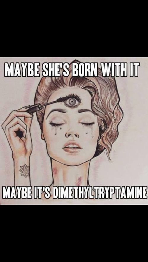 Imaginer77's tweet photo. Truly want to eliminate a #SATANIC #Illuminati controlled 🌎? DECALCIFY YOUR PINEAL GLAND! This is the 🔑 to our survival. THIS IS THE ONLY WAY! 
 #QAnon #AWAKENING #Redpill #Antartica #Enqi #kek #TIMETRAVEL #RT #ThirdEye #RetweeetPlease 💞🙏🏻 https://t.co/ICc6nkRjTy