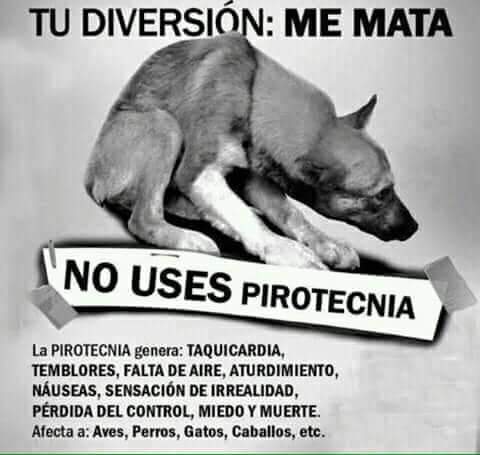 protegealanimal's tweet photo. #PirotecniaCero https://t.co/bO0OYrWsA4