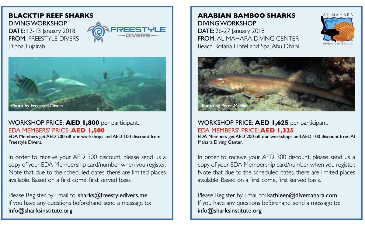 sharksinstitute's tweet photo. New Shark Diving Workshops #inuae January 2018
Blacktip Reef Sharks with @freestyledivers #inFujairah
Arabian Bamboo Sharks with @DiveMahara #inAbuDhabi
In a special cooperation with @EDA_UAE
#sharkseducational
#sharksevents
#sharksinstitute
#sharksdiving https://t.co/bzhmhk4WmK