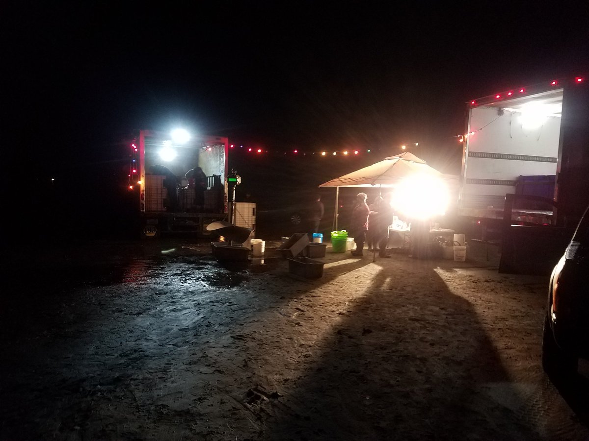 dpappj's tweet photo. Merry Christmas Quinault razor clam diggers
#GodsCountry #Quinault #Clammers #RazorHappy #PNW #WestportSeafoodExchange https://t.co/xpJRt8Mnx3