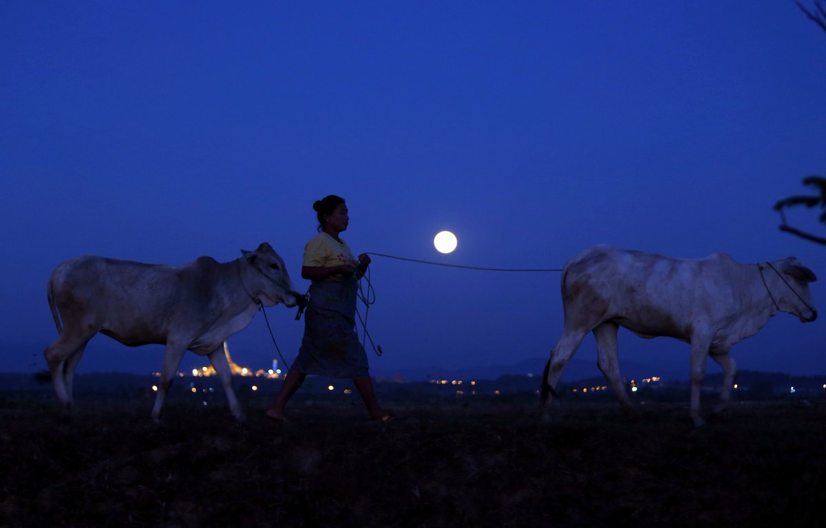 ajplus's tweet photo. Here are some breathtaking images of Sunday's #supermoon, the first and only one this year.

The phenomenon occurs when a full moon coincides with the point at which the moon's orbit is closest to Earth🌕 https://t.co/ySG2F1xGY0