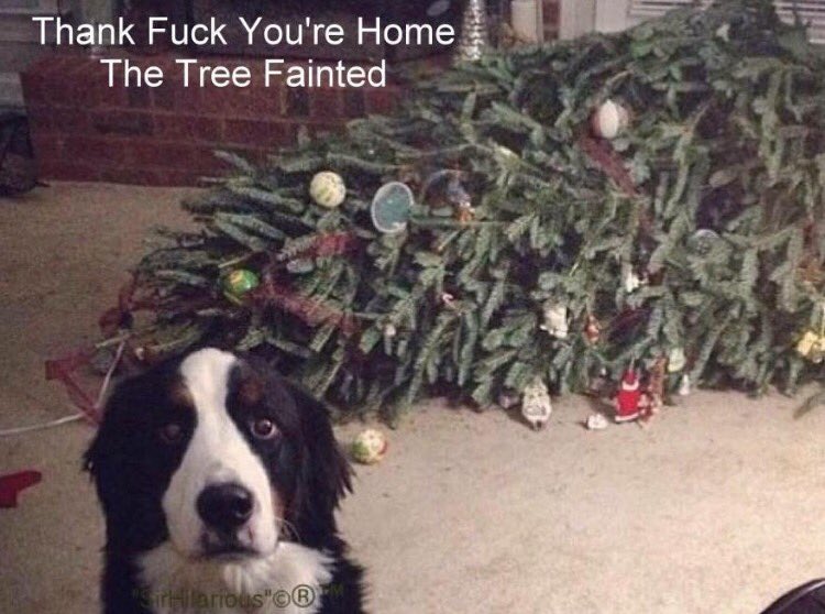 m4rk1964's tweet image. 😂😂