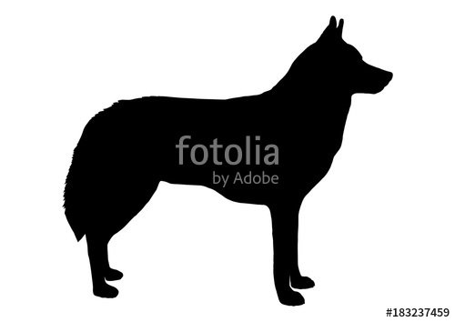 SpreeShirt's tweet photo. Wolf Silhouette
https://t.co/DqWR46nUQy https://t.co/LAvCarGsmy