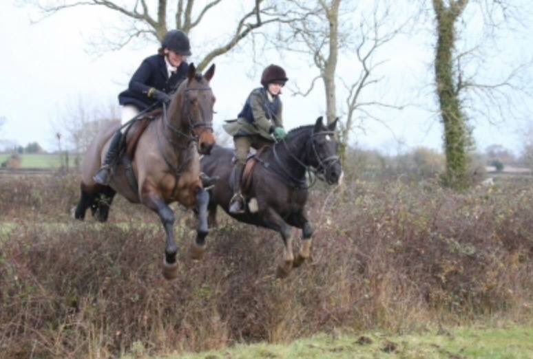 #trailhunting #beauforthunt #hedgehopping