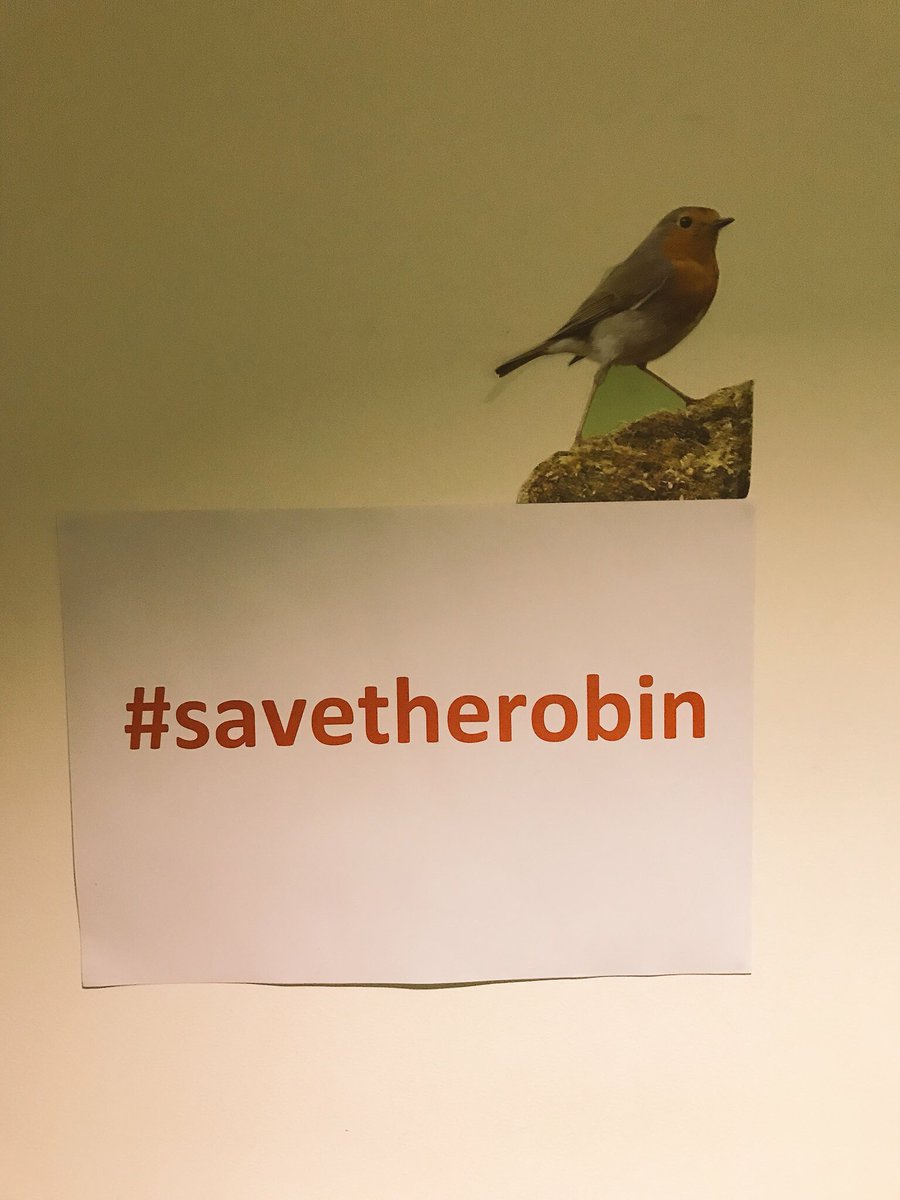 ed_brew's tweet photo. Whatโs going on?! #savetherobin https://t.co/RKtI1tGFef