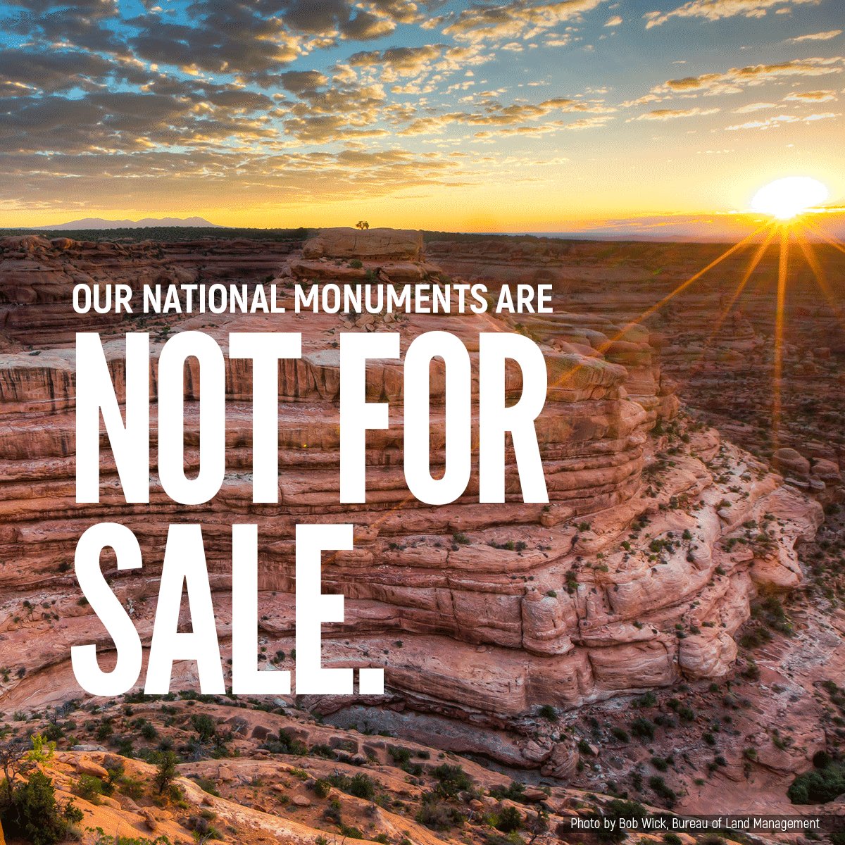 greenpeaceusa's tweet photo. Trump is expected to shrink Bears Ears monument by as much as 90%. What could have been protected for generations to come now face the risk of becoming oil fields. https://t.co/DIlgwDNDU4 https://t.co/q3kpLQ1qEs