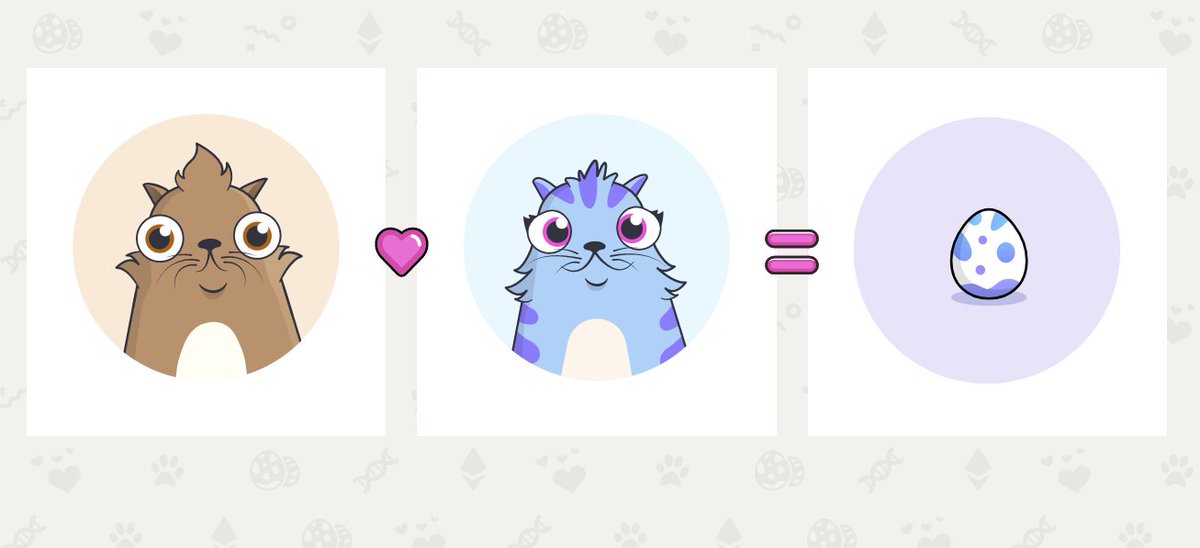 CoinDesk's tweet photo. Loveable Digital Kittens Are Clogging Ethereum's Blockchain https://t.co/dPa6A0D0aW https://t.co/OULhGHqHs9