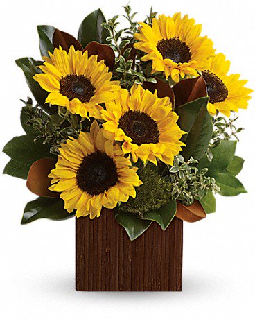 penguin flowers flowers penguin twitter