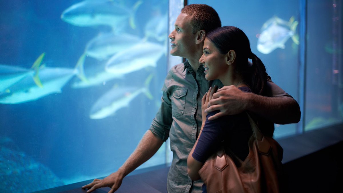 TheOnion's tweet image. Couple On Verge Of Breaking Up Has Mind-Blowing Aquarium Visit trib.al/SuSST0Y