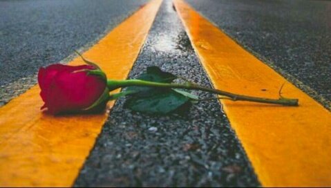 طاحت من  اثنين  مروا من هنا مدري ؟
طاحت من الشوق او طاحت من الفرقا؛
#احساس_ميمي