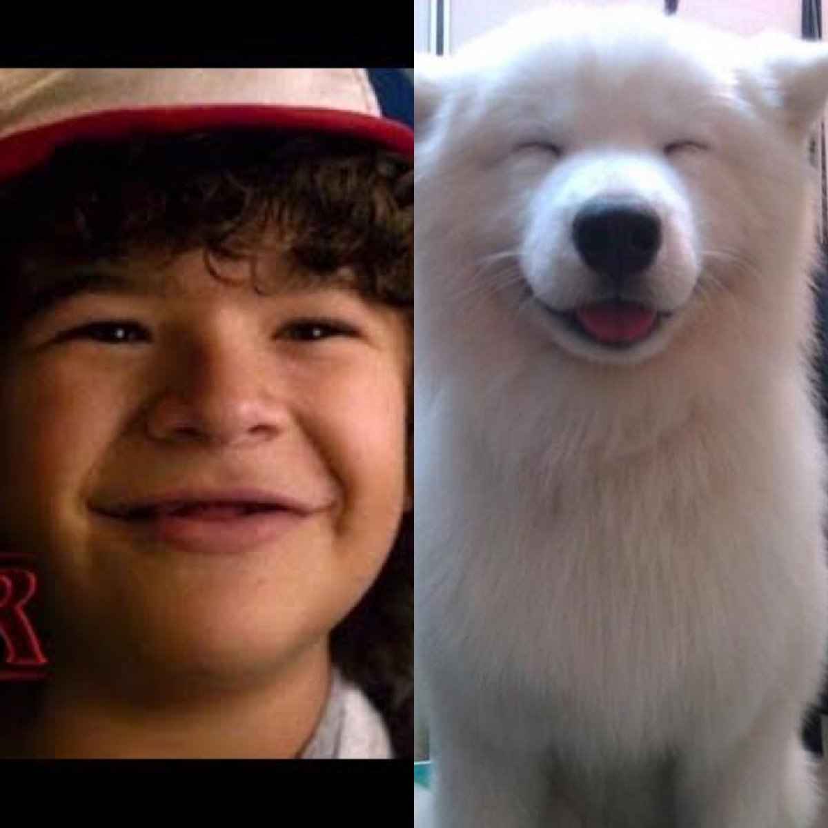 jose_ati's tweet photo. Buscar las 7 diferencias...#StrangerThings #grrr https://t.co/JX53td2tKE