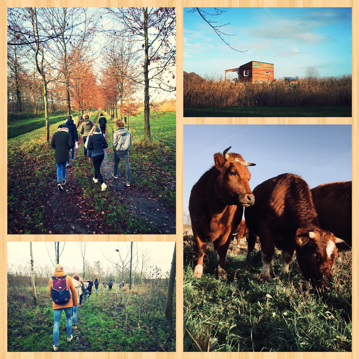 Gave excursie vandaag met @MBOApeldoorn bij <a href="/Roggebotstaete/">Roggebotstaete</a> #duurzaamheid #ecologie #voeding