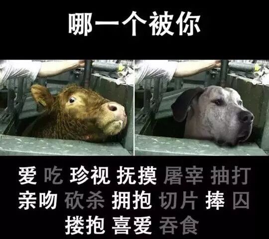 tofanyi's tweet photo. #GoVegan #china https://t.co/oSoSrSpa6R