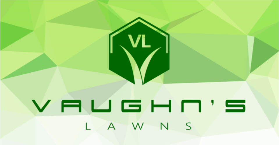 bluedoor816's tweet photo. We're super excited to be working with Vaughn's Lawns, Inc. on a new re-branding campaign. New logo, new website and more coming soon! Great company and awesome owner. Thanks for choosing us! :)
#BeltonMO #Belton #raymoreMO #raymore https://t.co/vEUY7r4nI8